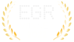 888 poker EGR winner 2022